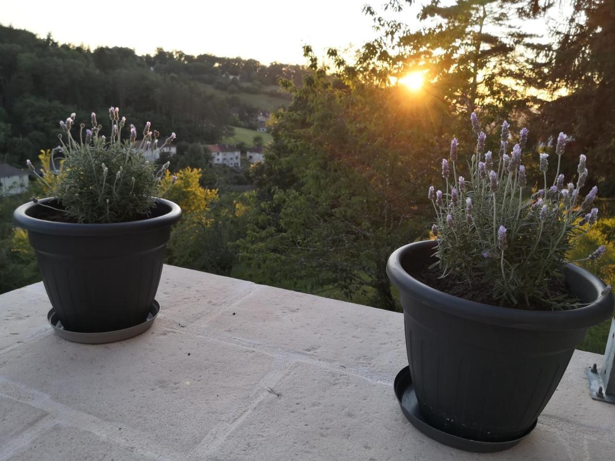 Chambre Meublee Avec Vue Panoramique A Perigueux Sanilhac  Luaran gambar